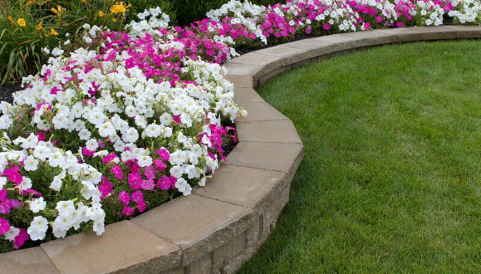 Pink and white flowerbed
